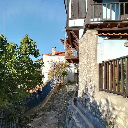 Eden View * Sotir